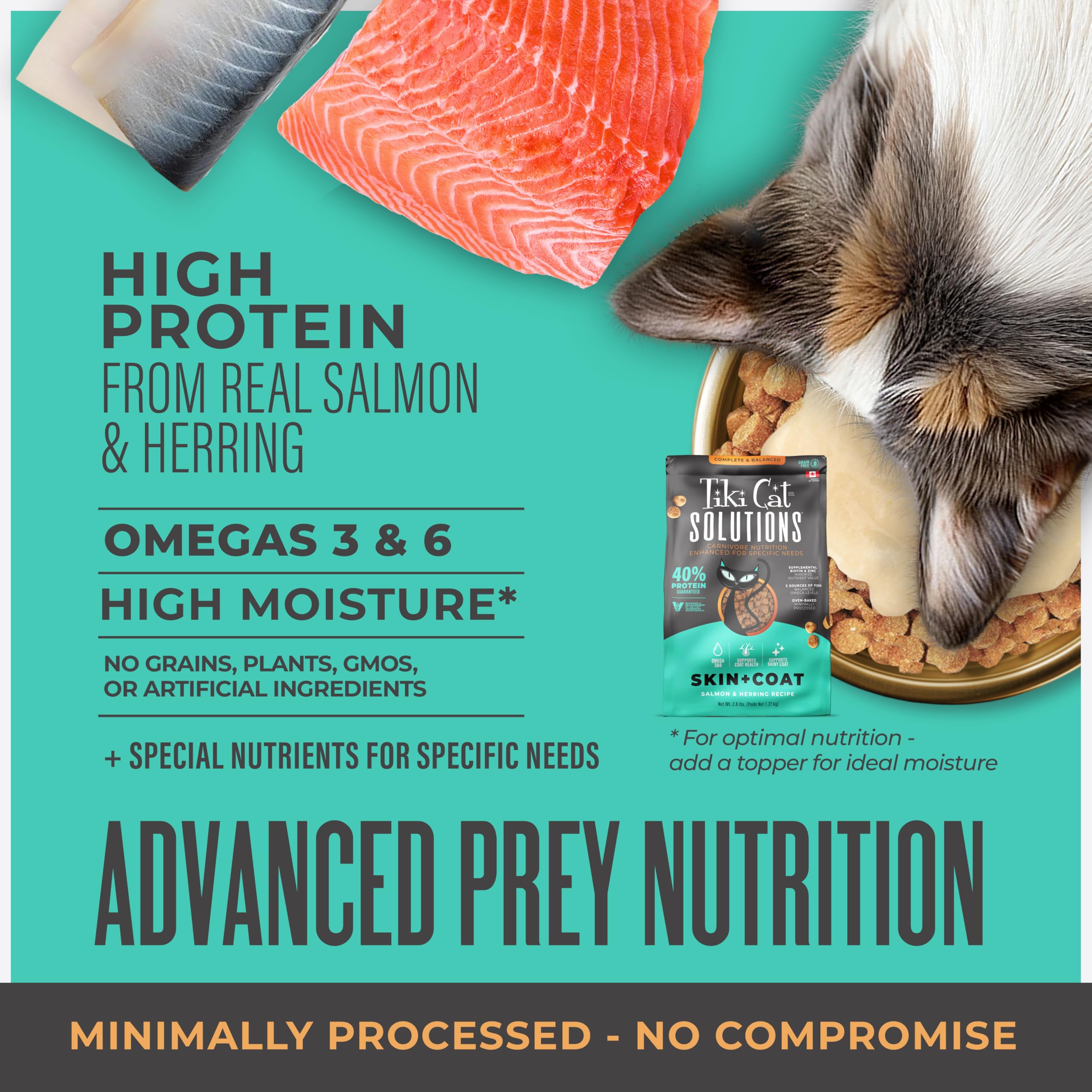Tiki Cat Solutions omega-3 balance with two fish sources for coat vitality