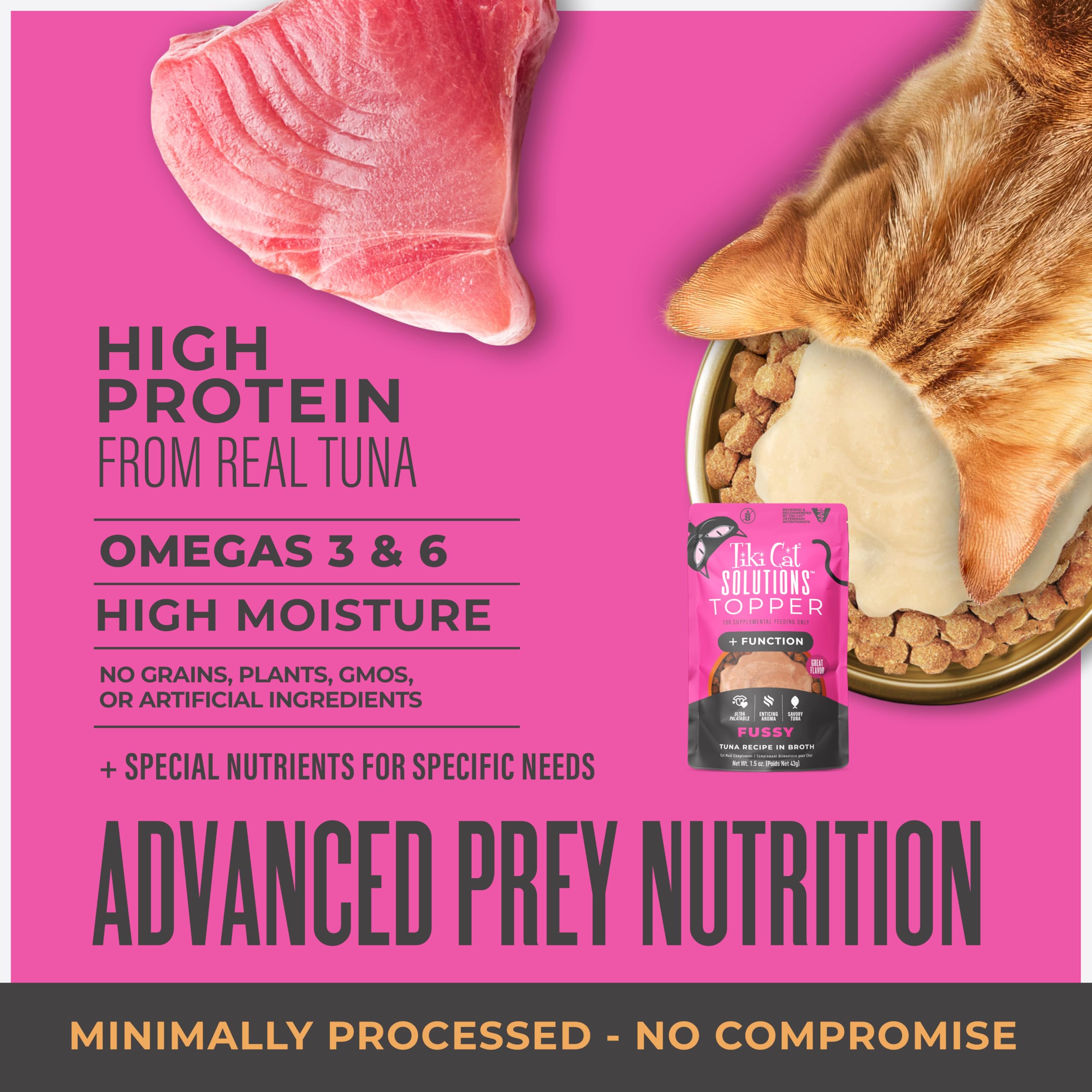 Tiki Cat Solutions Topper Fussy tuna broth in a bowl for moisture boost.