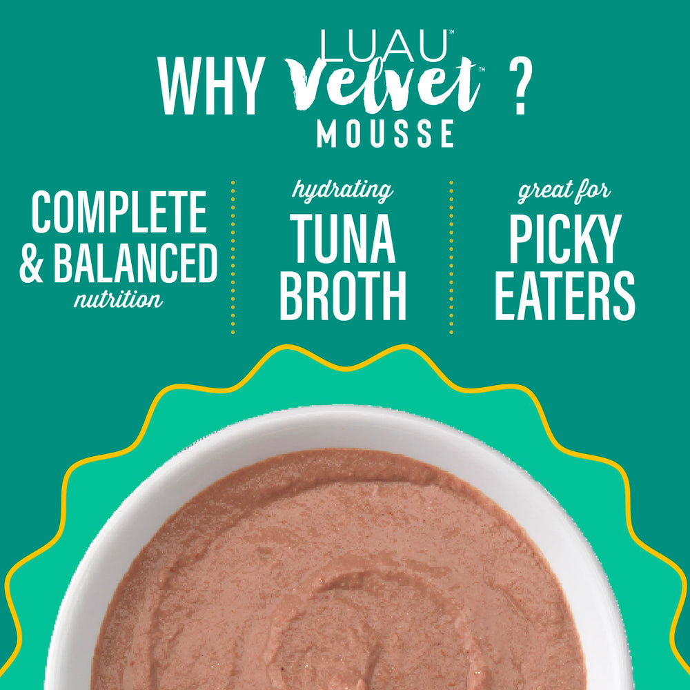 Cat enjoying Tiki Cat Velvet Mousse from a dish with high moisture.