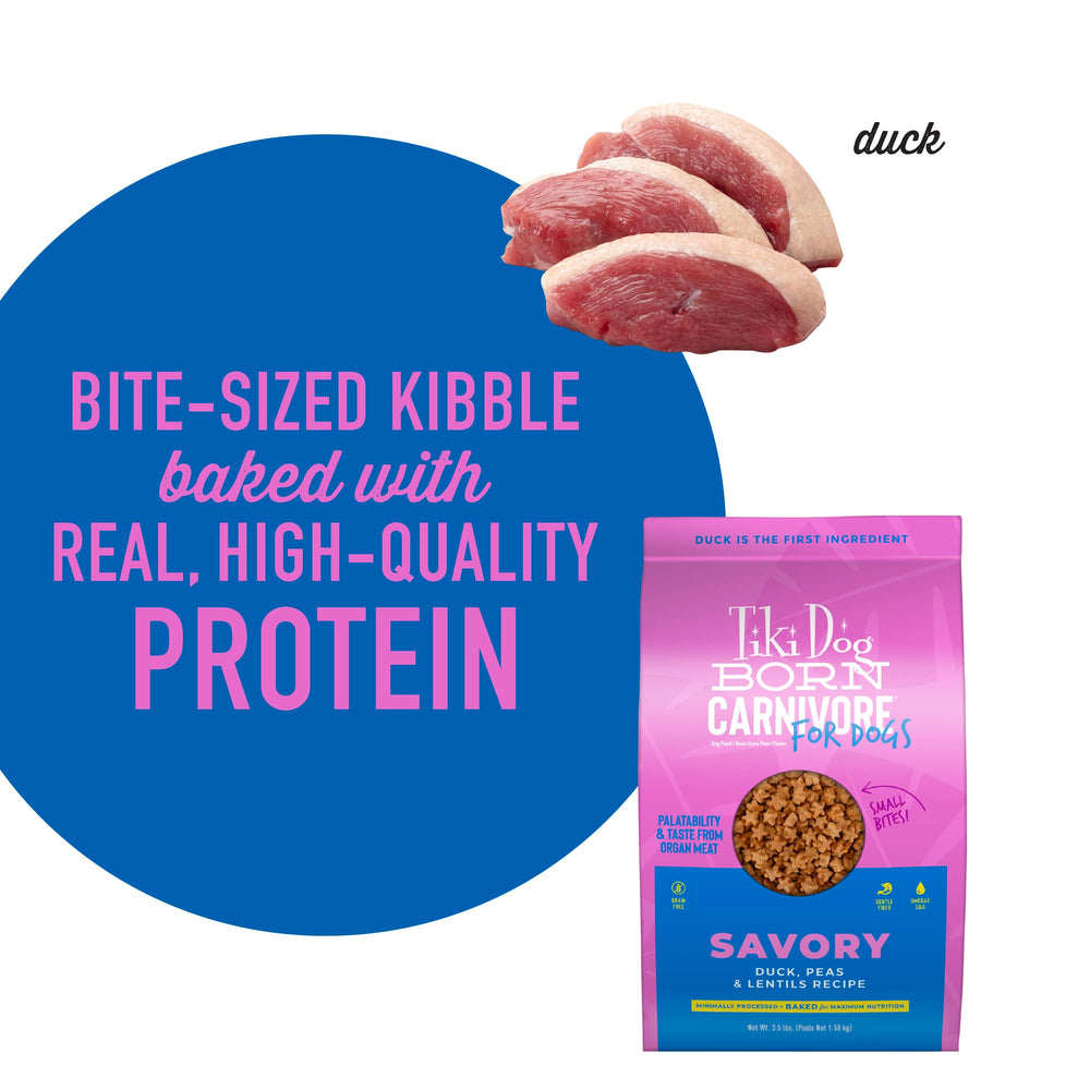 Tiki Dog Born Carnivore includes superfoods such as peas, lentils, flaxseed and salmon oil