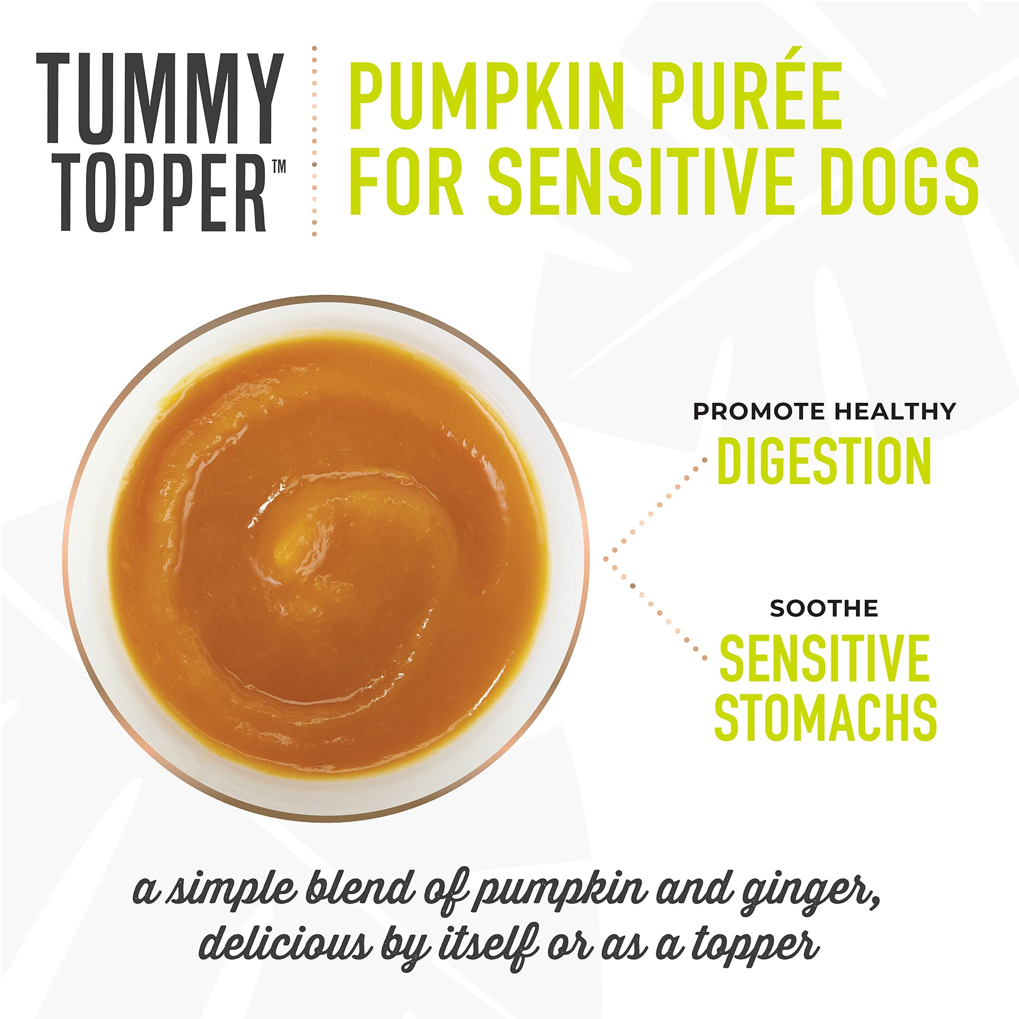 Tiki Dog grain-free pumpkin purée provides a pure pumpkin base.
