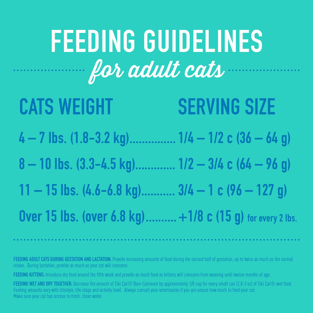 Tiki Pets high-protein kibble close-up for cats on a meat-forward diet
