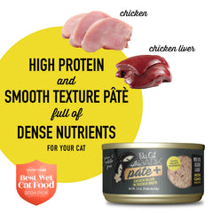 Tiki Pets After Dark Pate+ broth being poured to show high moisture content