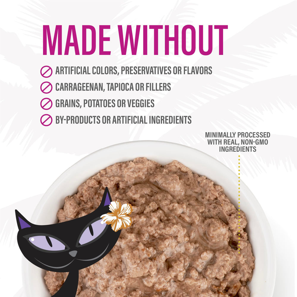 Tiki Cat After Dark Pate serving idea for picky eaters.