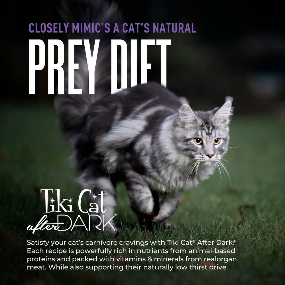 Tiki Cat After Dark Shreds serving bowl demonstrates easy mealtime presentation.