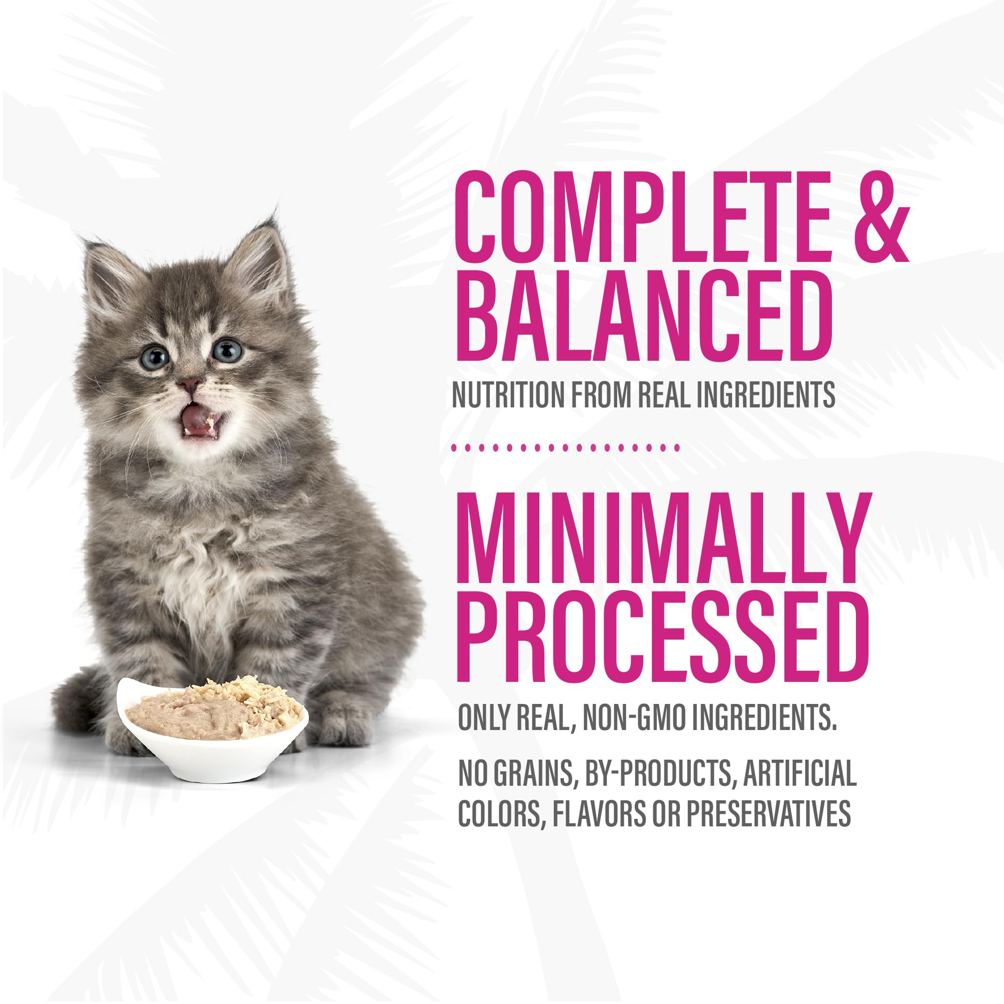 Tiki Cat Baby Pate omega-3-dha-visual highlights brain-supporting nutrients for growing kittens.