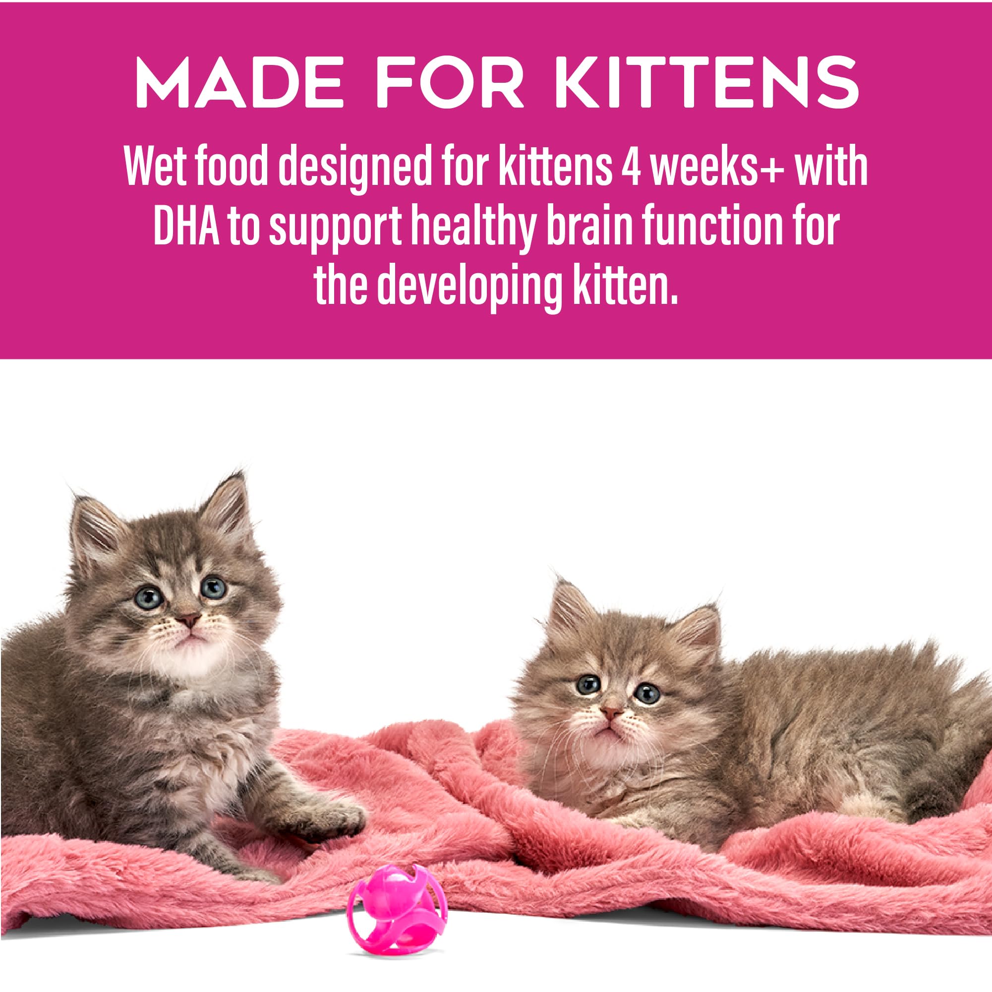 Tiki Cat Baby Pate serving-bowl presents ready-to-serve meals for kittens.