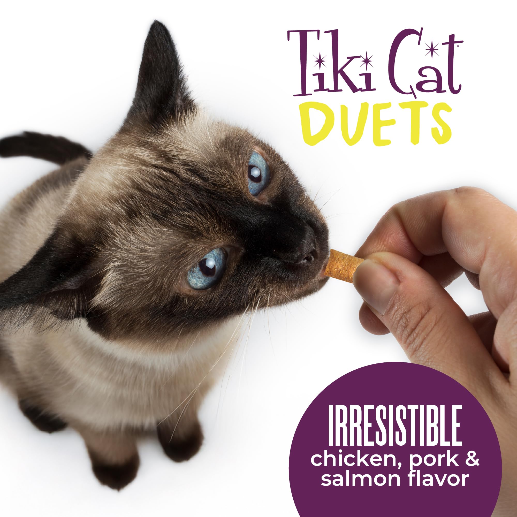 Tiki Cat Duets offered to a cat as a great reward during play