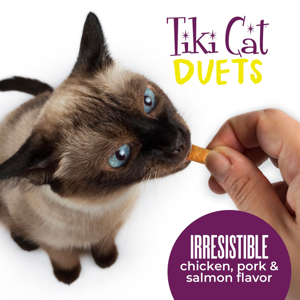 Tiki Cat Duets offered to a cat as a great reward during play