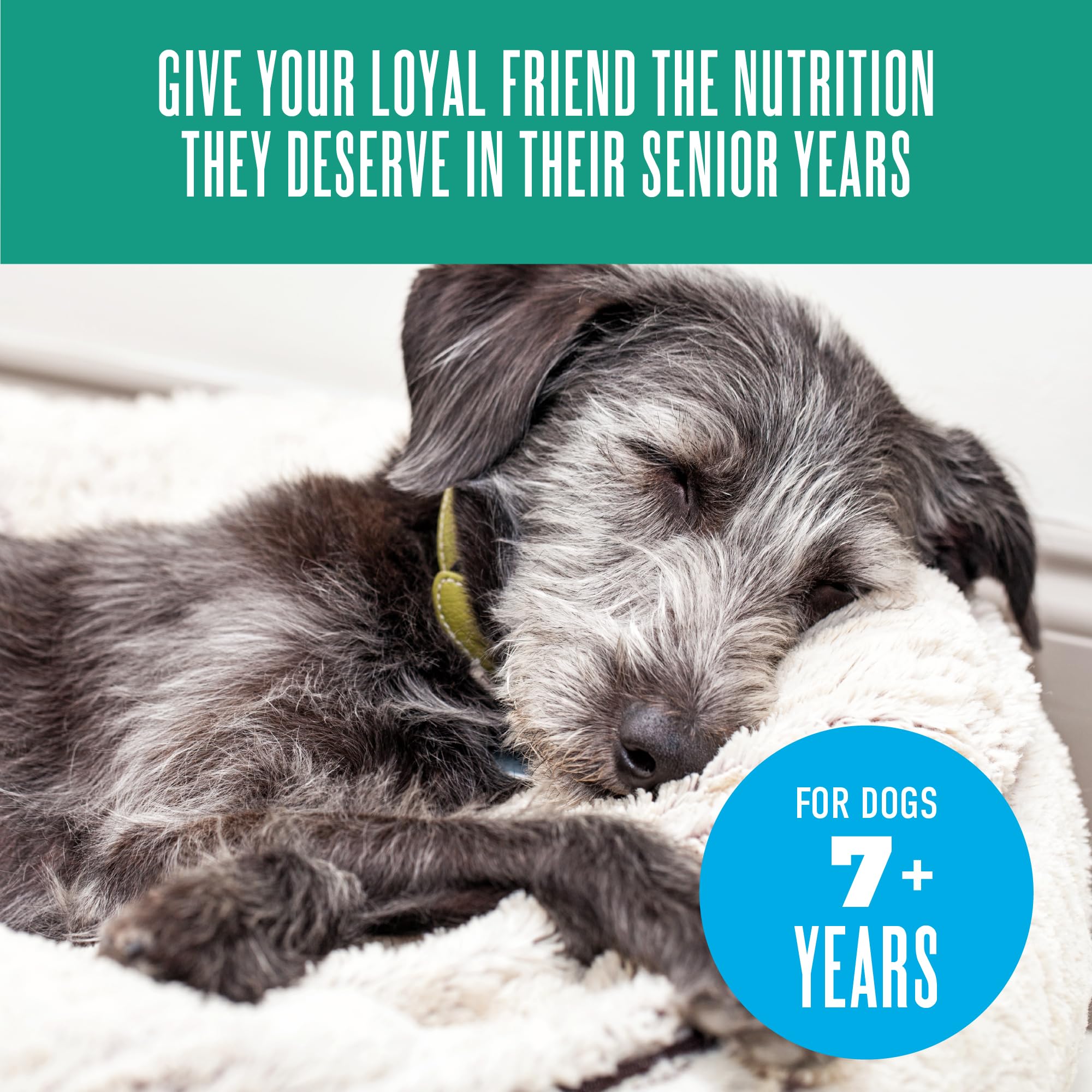 TIKI PETS Tiki Dog Seniors Mousse vitamins-a-e emphasizes immune-support nutrients.