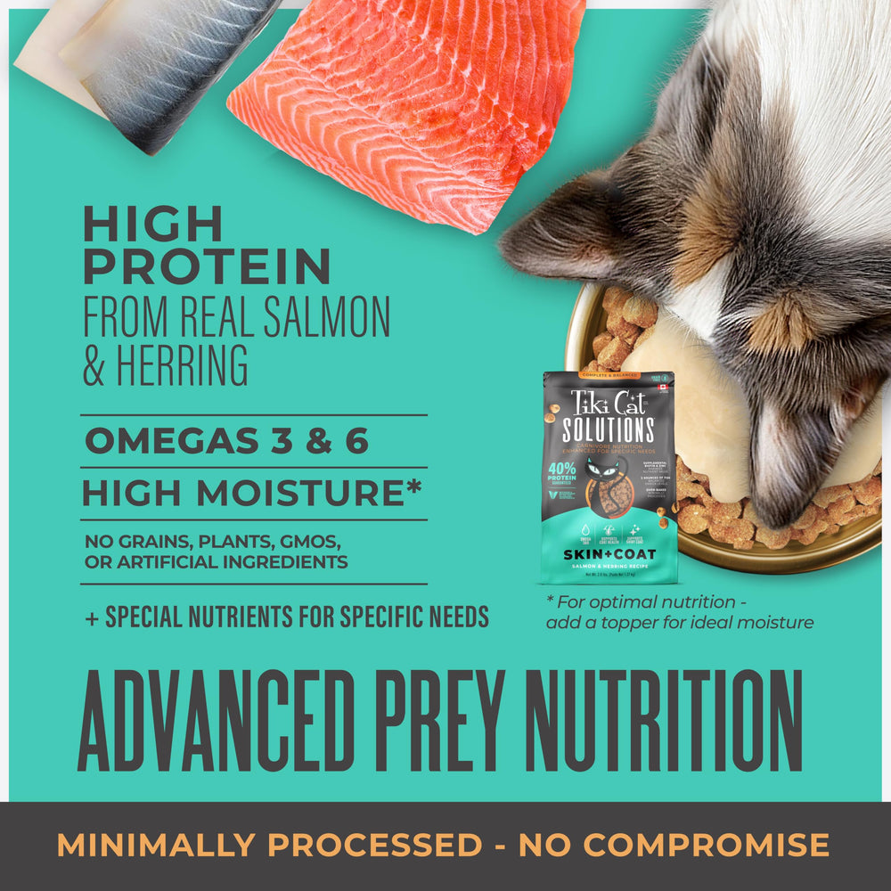 Tiki Cat Solutions Skin & Coat salmon-herring ingredients showcase two fish sources