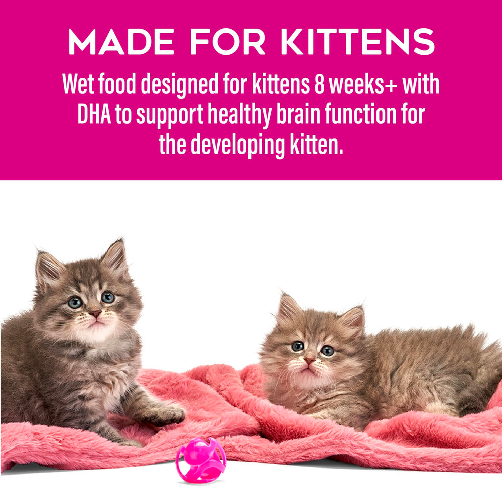 Close-up of kitten meal showing appealing texture from TIKI PETS Tiki Cat Baby
