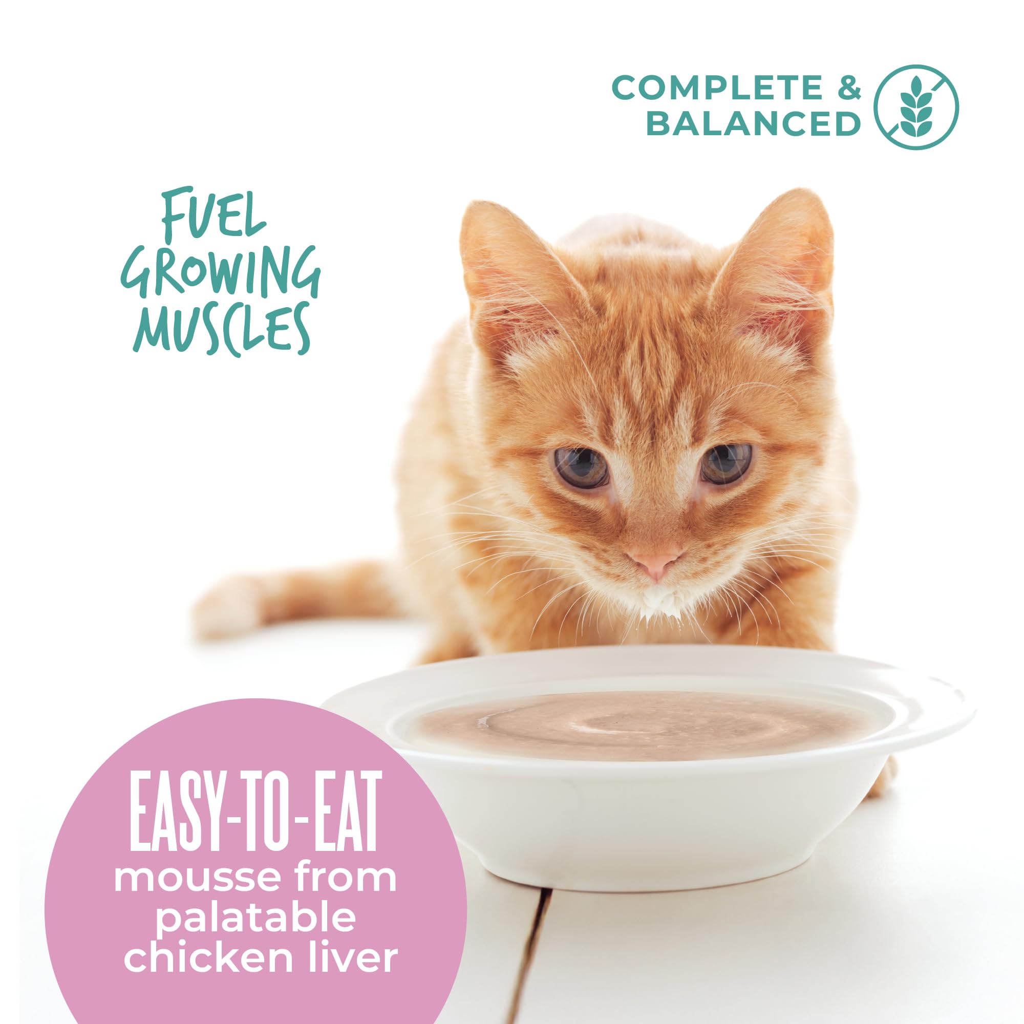 DHA included in Tiki Cat Baby Mousse for healthy brain development.