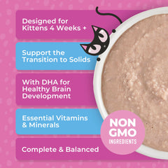 Kitten enjoys Tiki Cat Baby Mousse feeding scene for easy transition to solid meals.