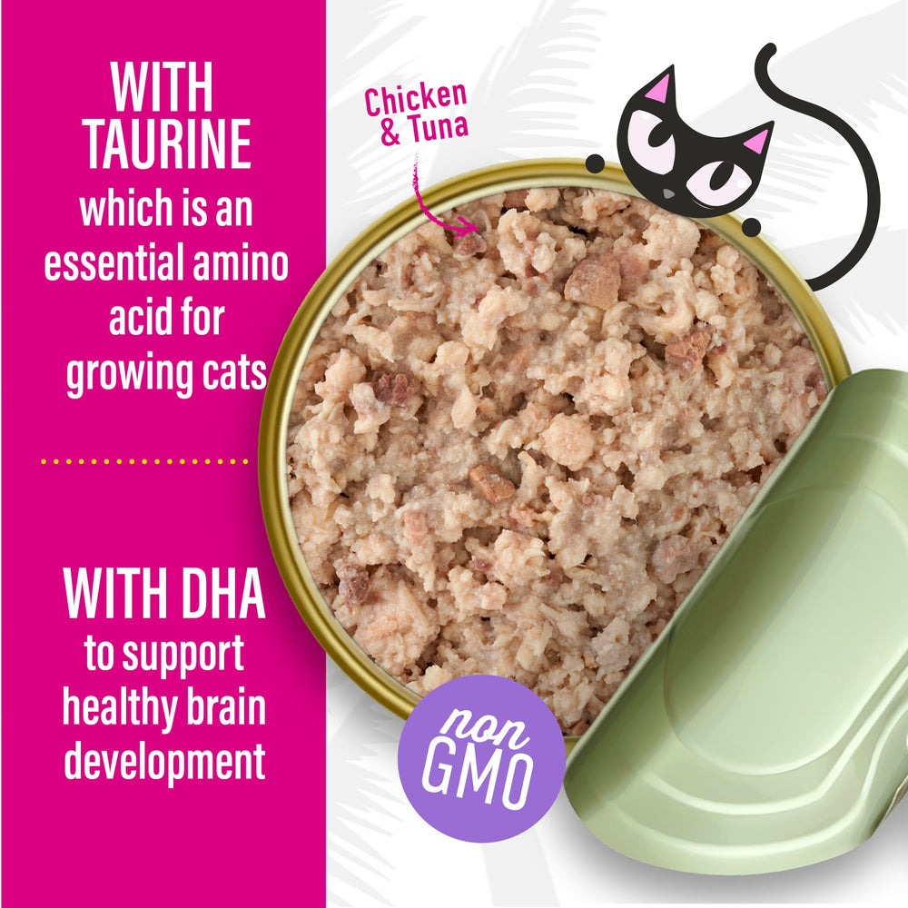 Kittens enjoy a serving of TIKI PETS Tiki Cat Baby from a bowl