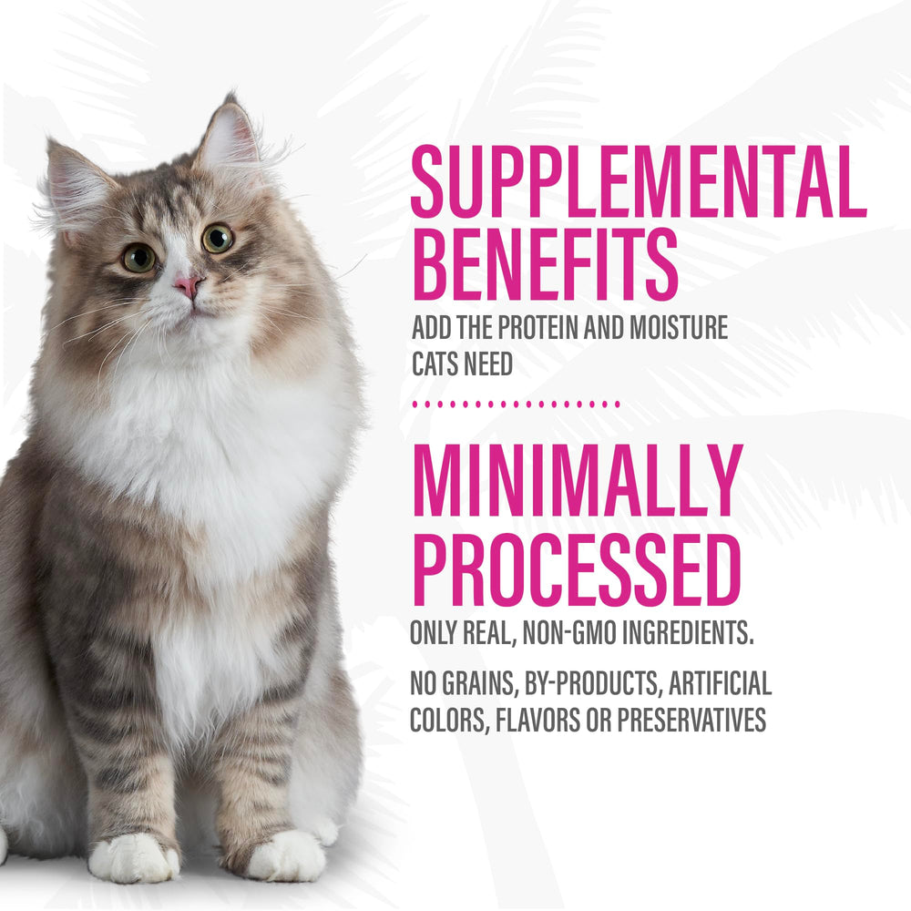 Tiki Cat Born Carnivore Complements ingredients close-up showing chicken-only formula.