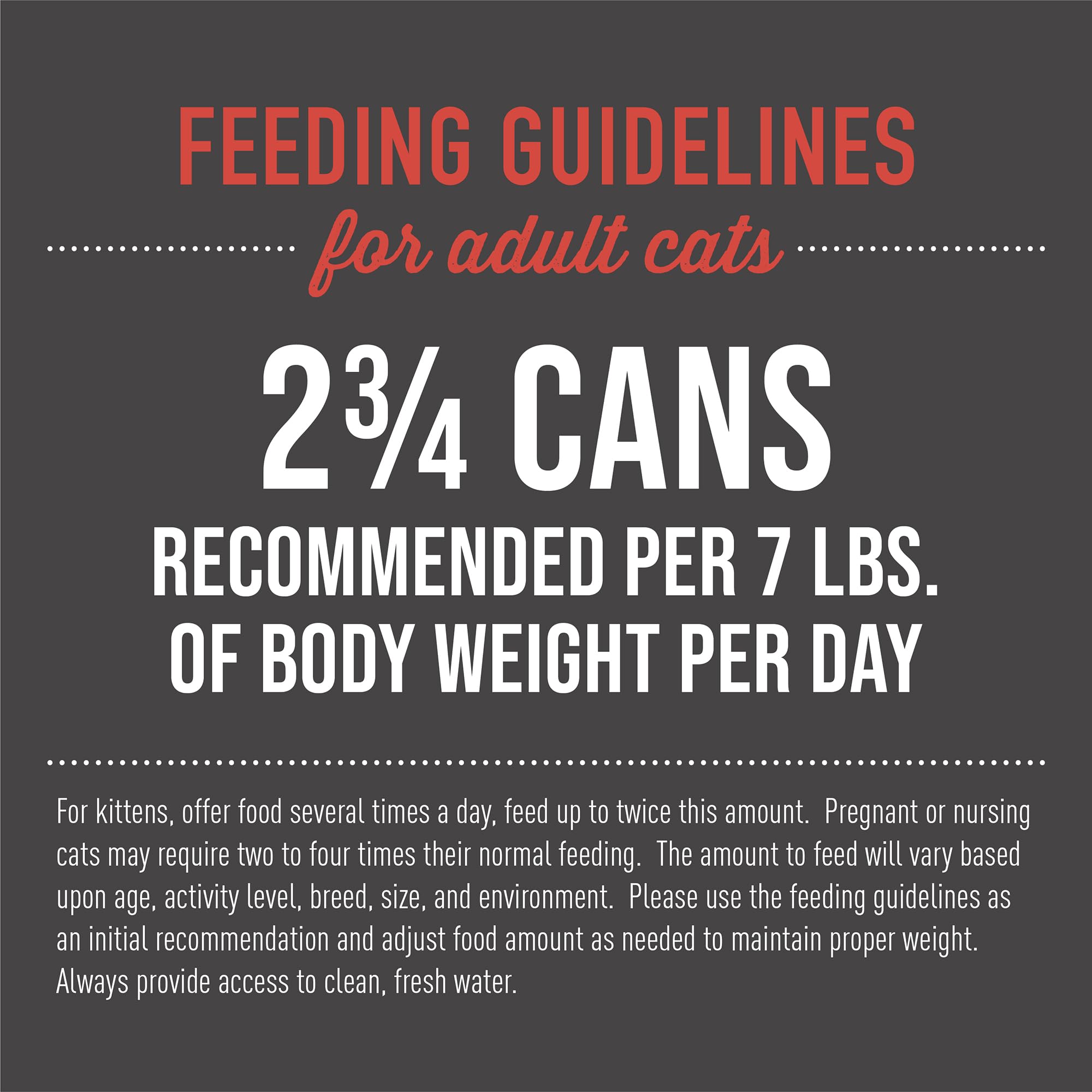 TIKI PETS 12-pack cans, grain-free wet food for varied feeding routines.
