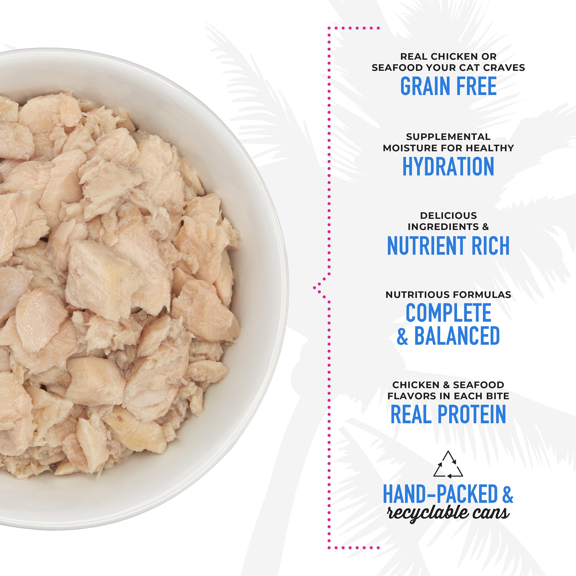 Fish flakes close-up showcases salmon or tuna flavors in savory broth.