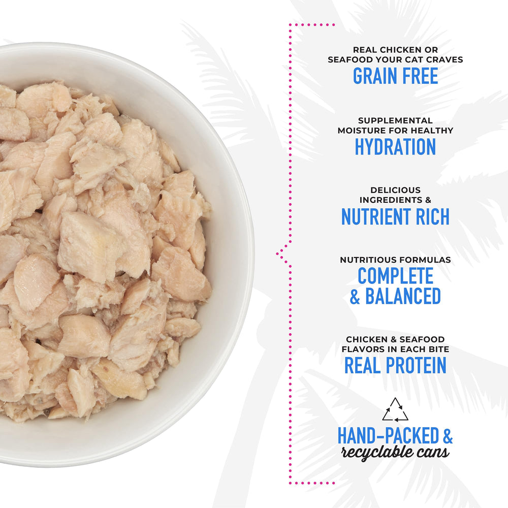 Fish flakes close-up showcases salmon or tuna flavors in savory broth.