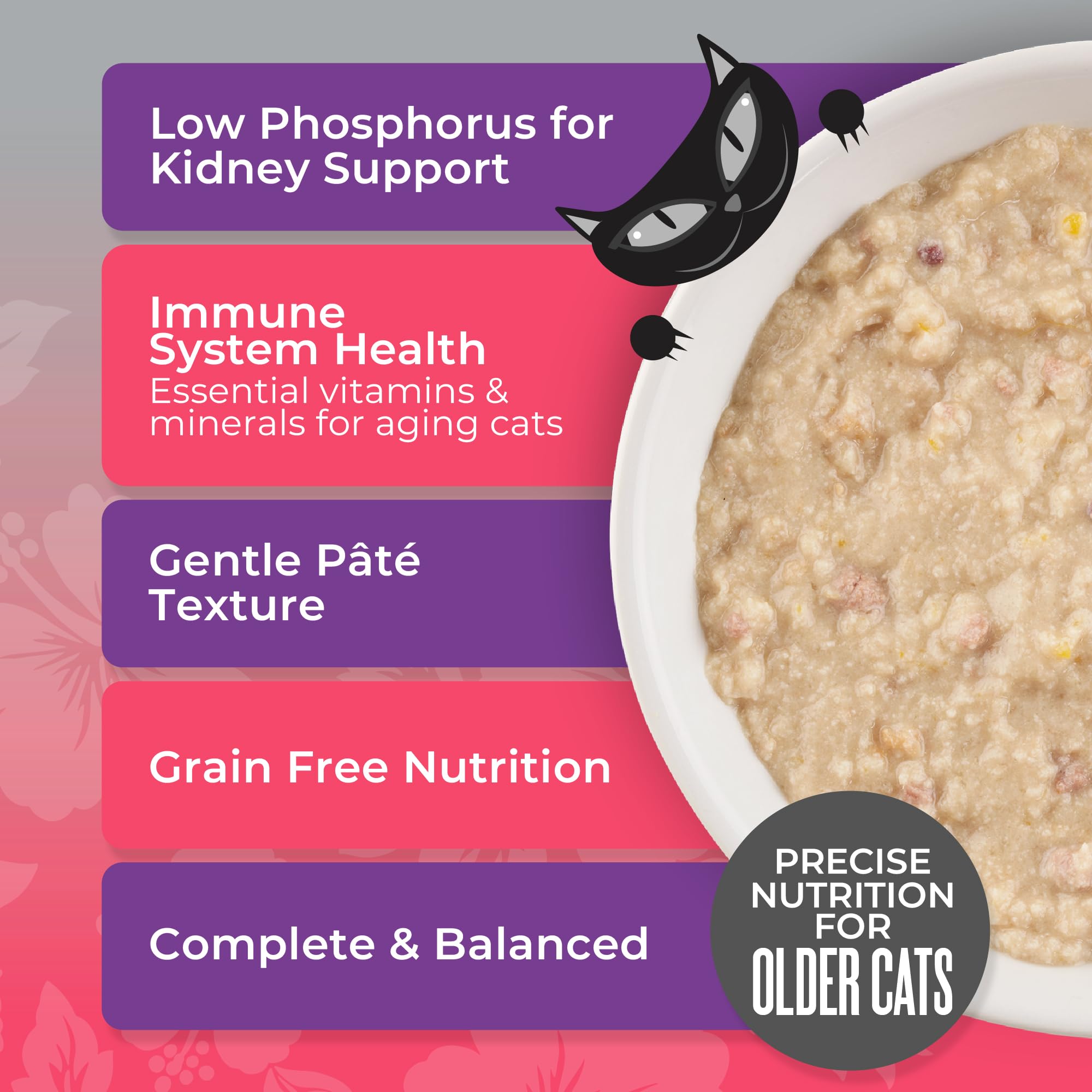 Serving suggestion in a bowl demonstrates easy-to-eat pate for seniors