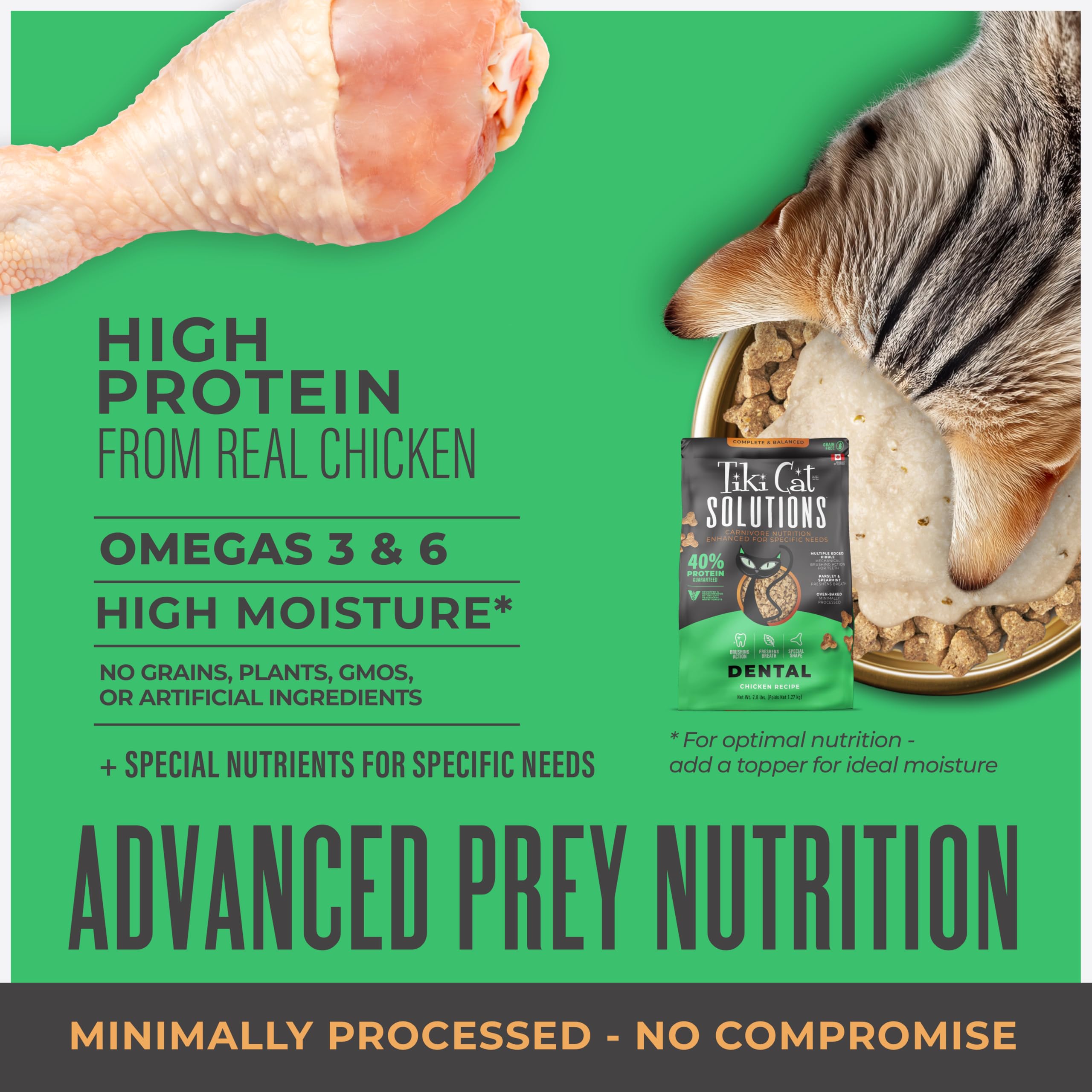 Close-up of Tiki Cat Solutions dental kibble with multi-edged surfaces for cleaning