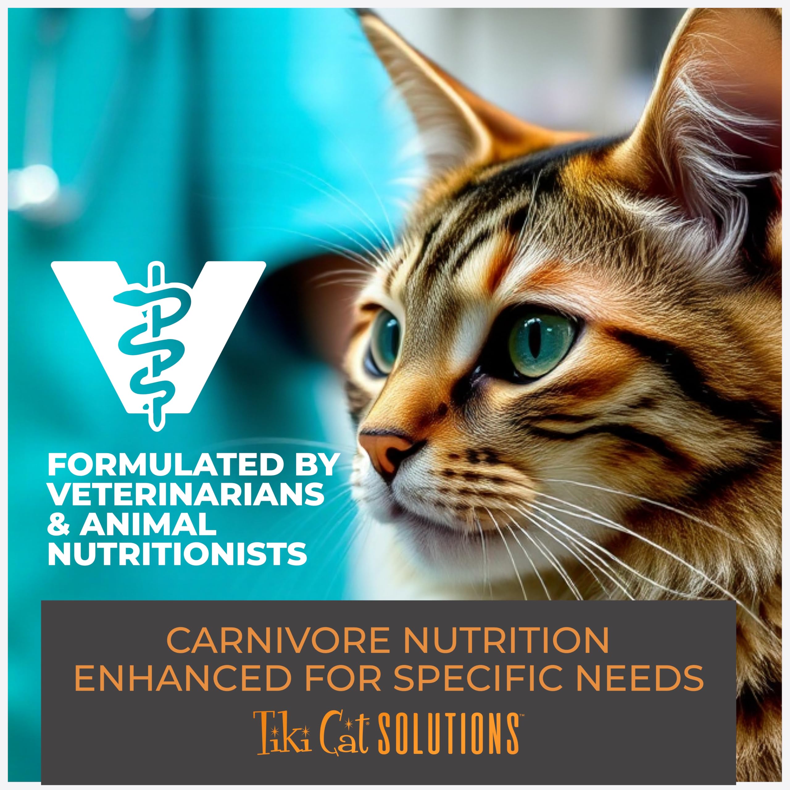 Tiki Cat Mobility Mousse 12-count pouch pack for convenient feeding.