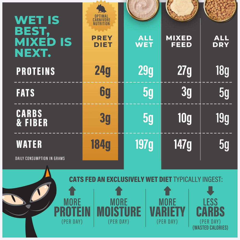 TIKI PETS Coat health close-up shows shiny, healthy-looking fur