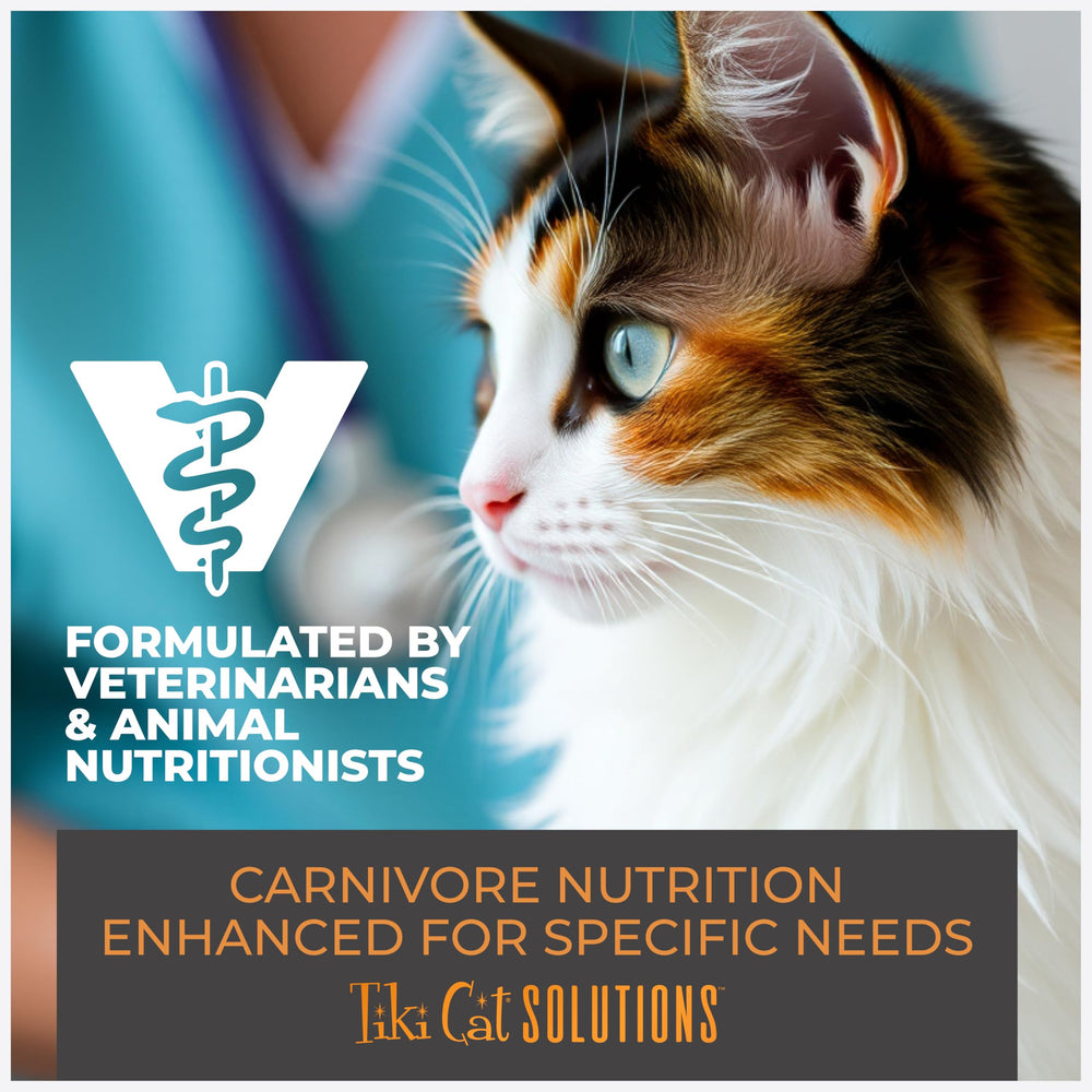 TIKI PETS Non-GMO badge on packaging signals quality ingredients