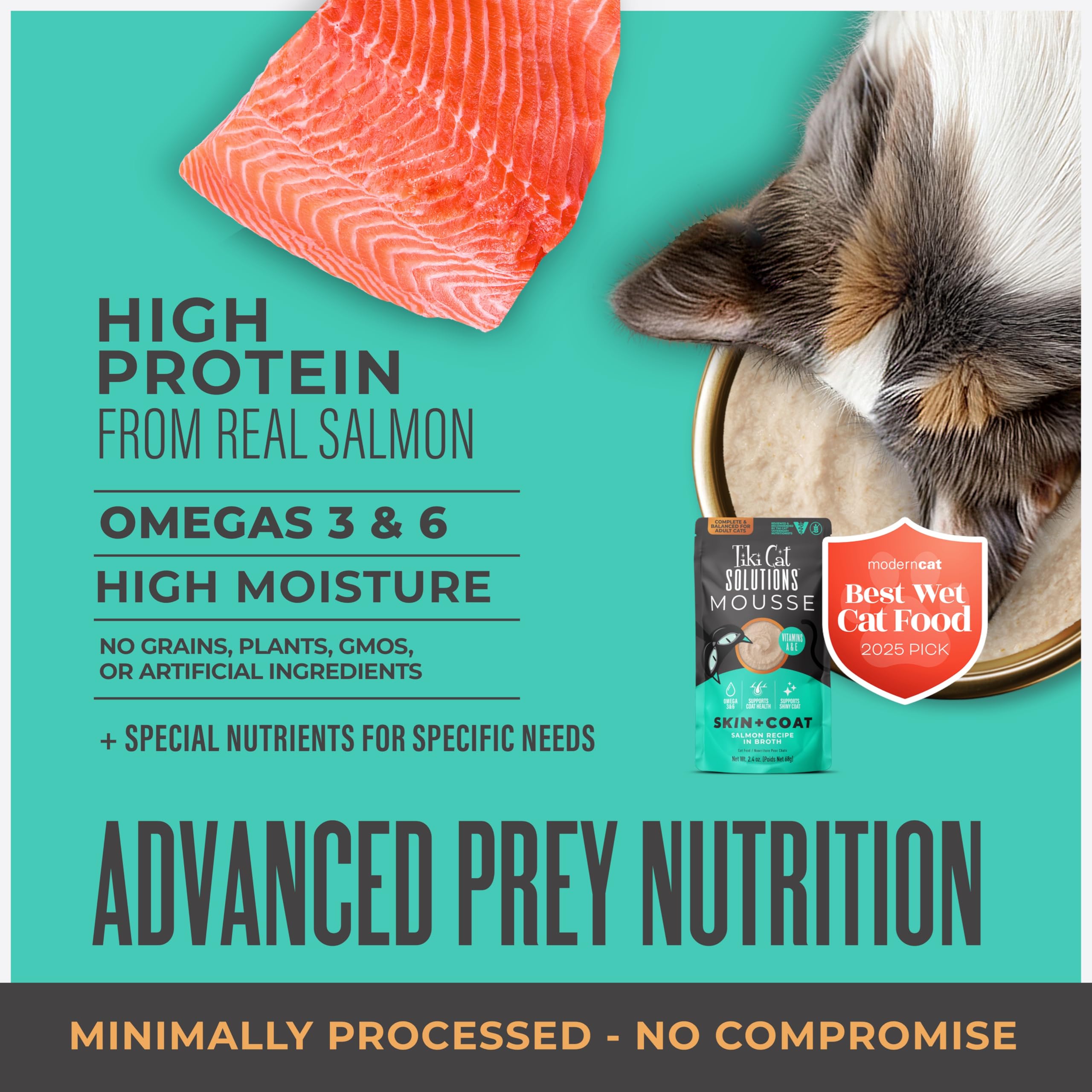 TIKI PETS 12-pack box emphasizes value and complete nutrition