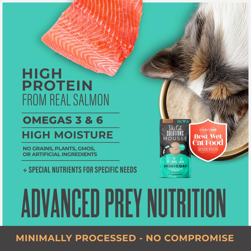 TIKI PETS 12-pack box emphasizes value and complete nutrition