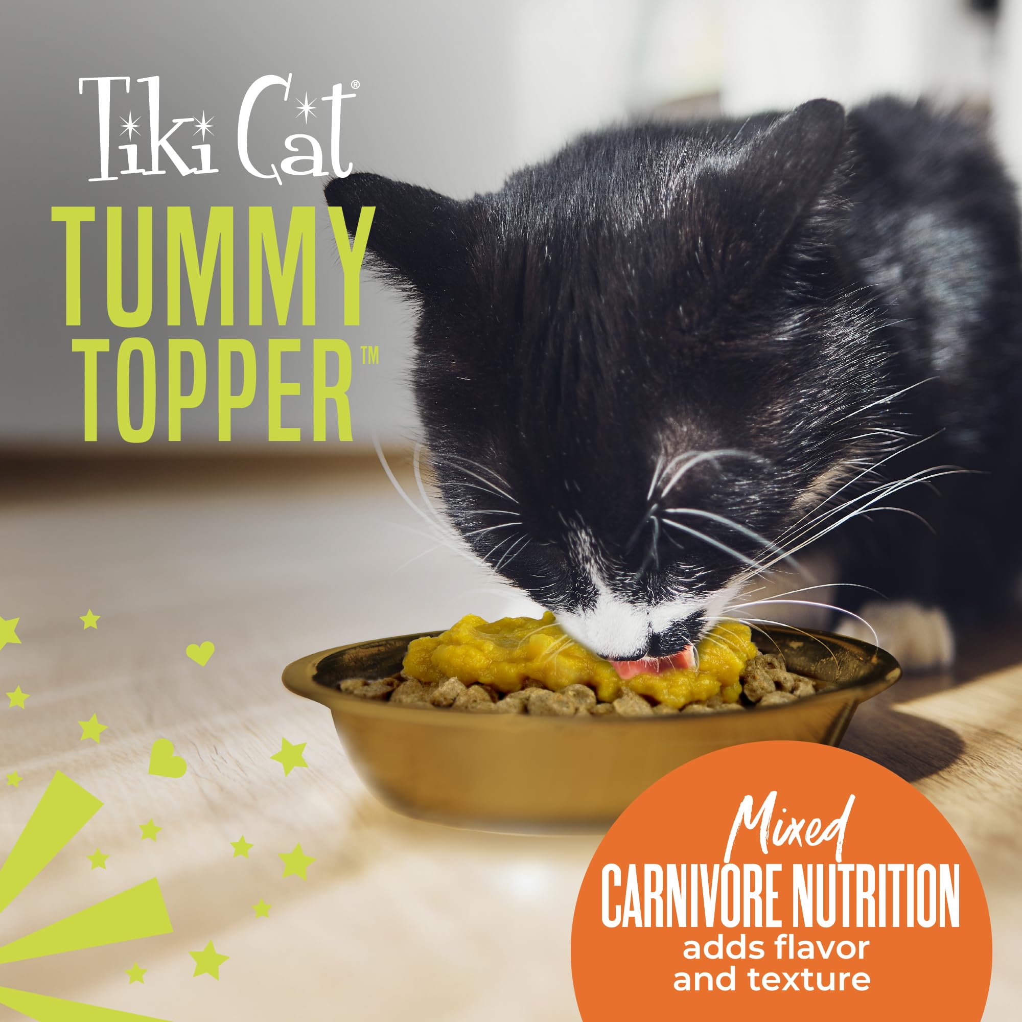 Tiki Pets Tummy Topper cat enjoying a topper treat