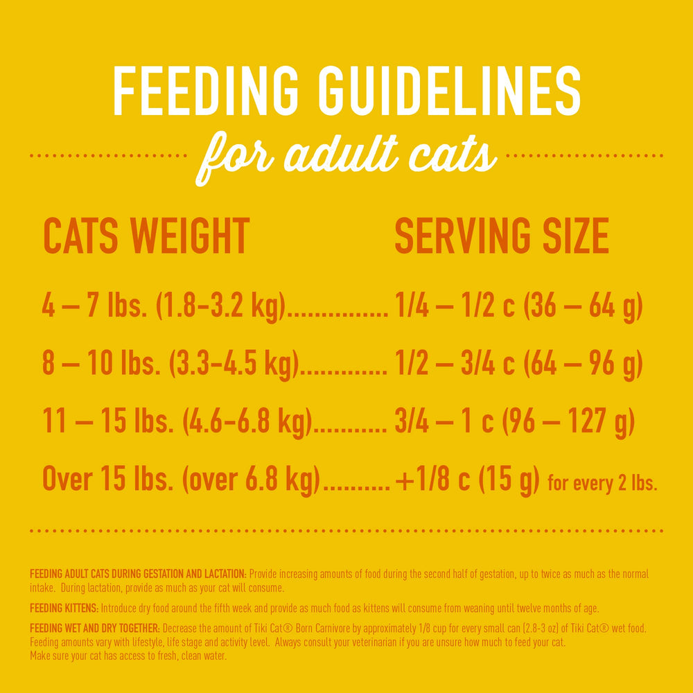 Tiki Cat Born Carnivore kibble in bowl for adult cats with protein-forward nutrition.