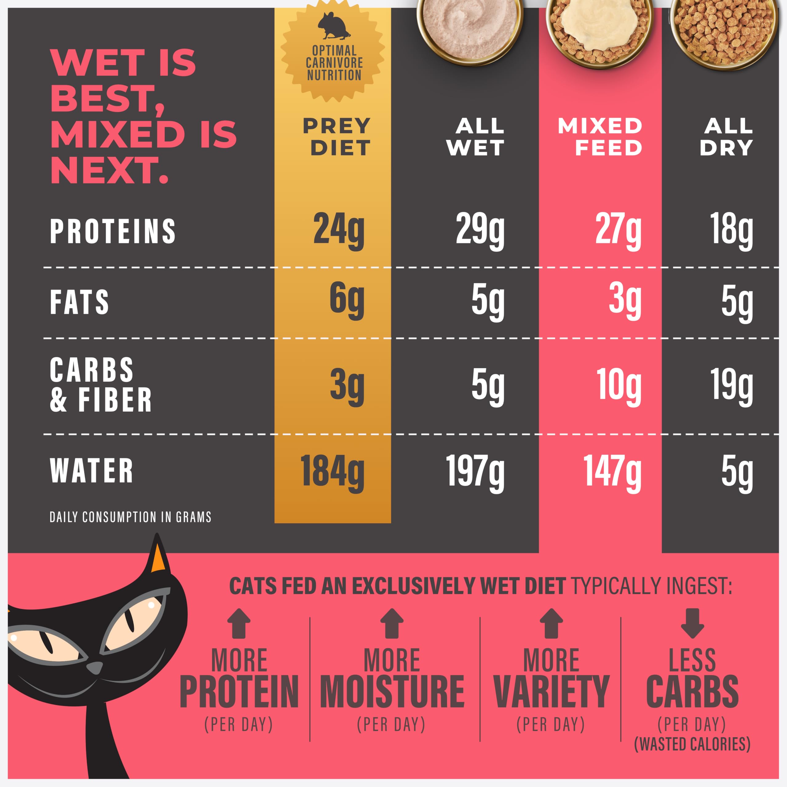 Tiki Cat Solutions Mobility moisture-rich gravy over kibble demonstrates hydration