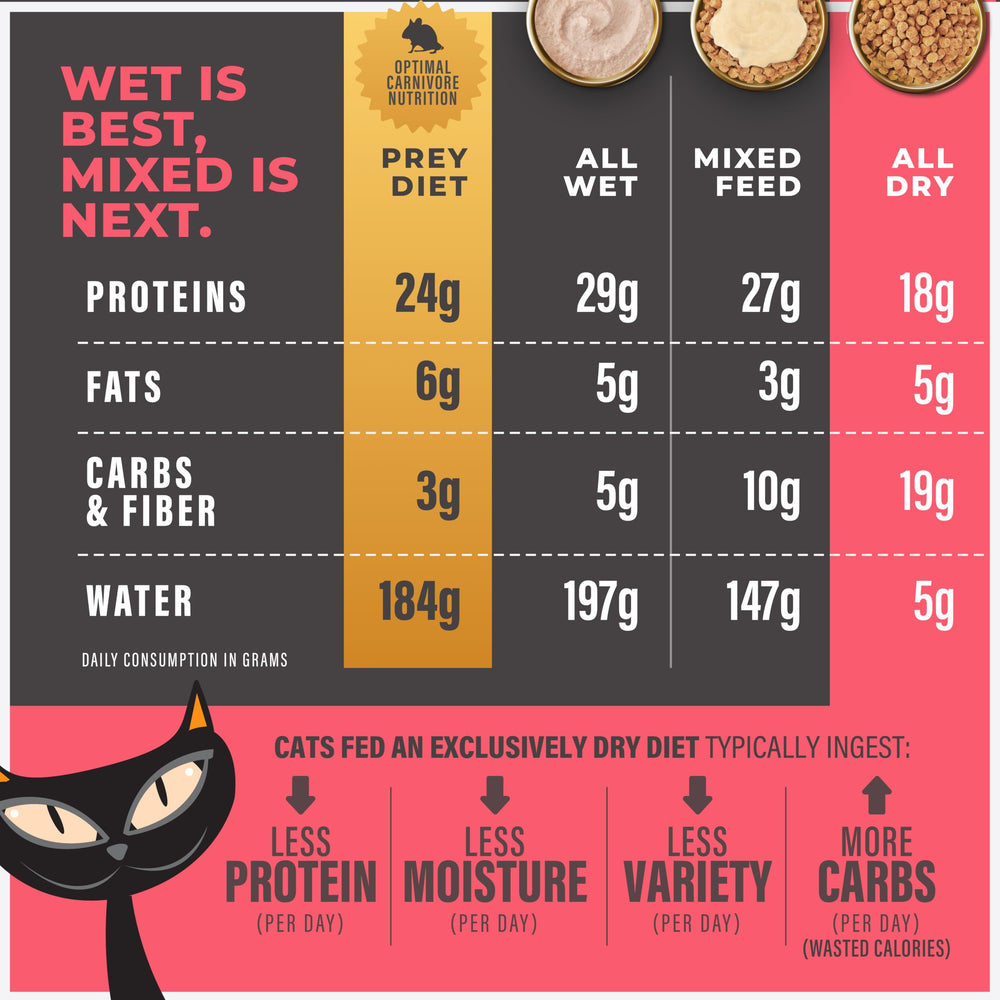 Serving suggestion bowl with Tiki Cat Mobility kibble