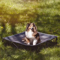 TIMBER RIDGE elevated-frame bed keeps dogs off the ground.