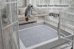 TIMEONIA XL flat design stays secure under large parrots.