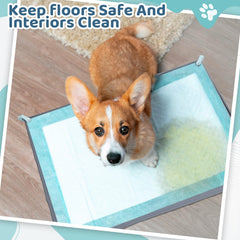 Timgle non-slip silicone base stabilizes the potty tray on a surface