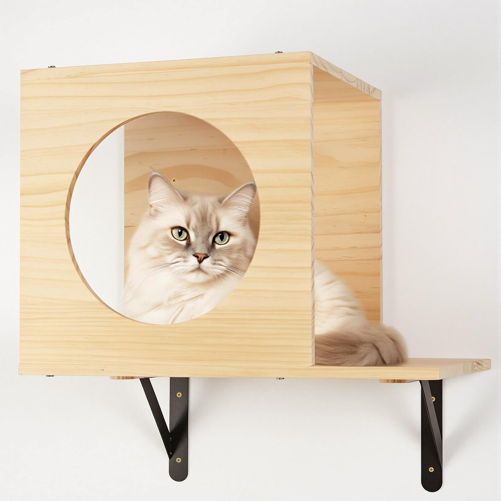 TIMIEEYA wall step right supports multi-angle routes for agility.