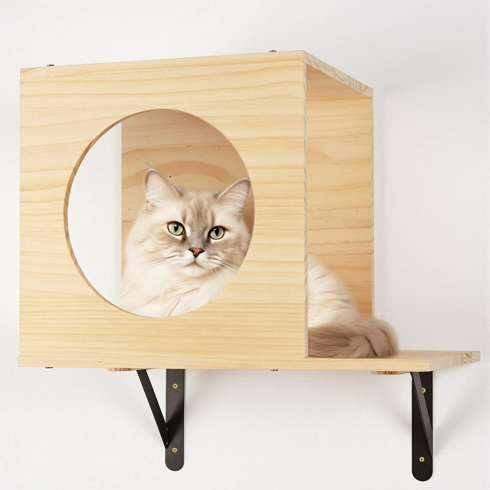 TIMIEEYA wall step right supports multi-angle routes for agility.