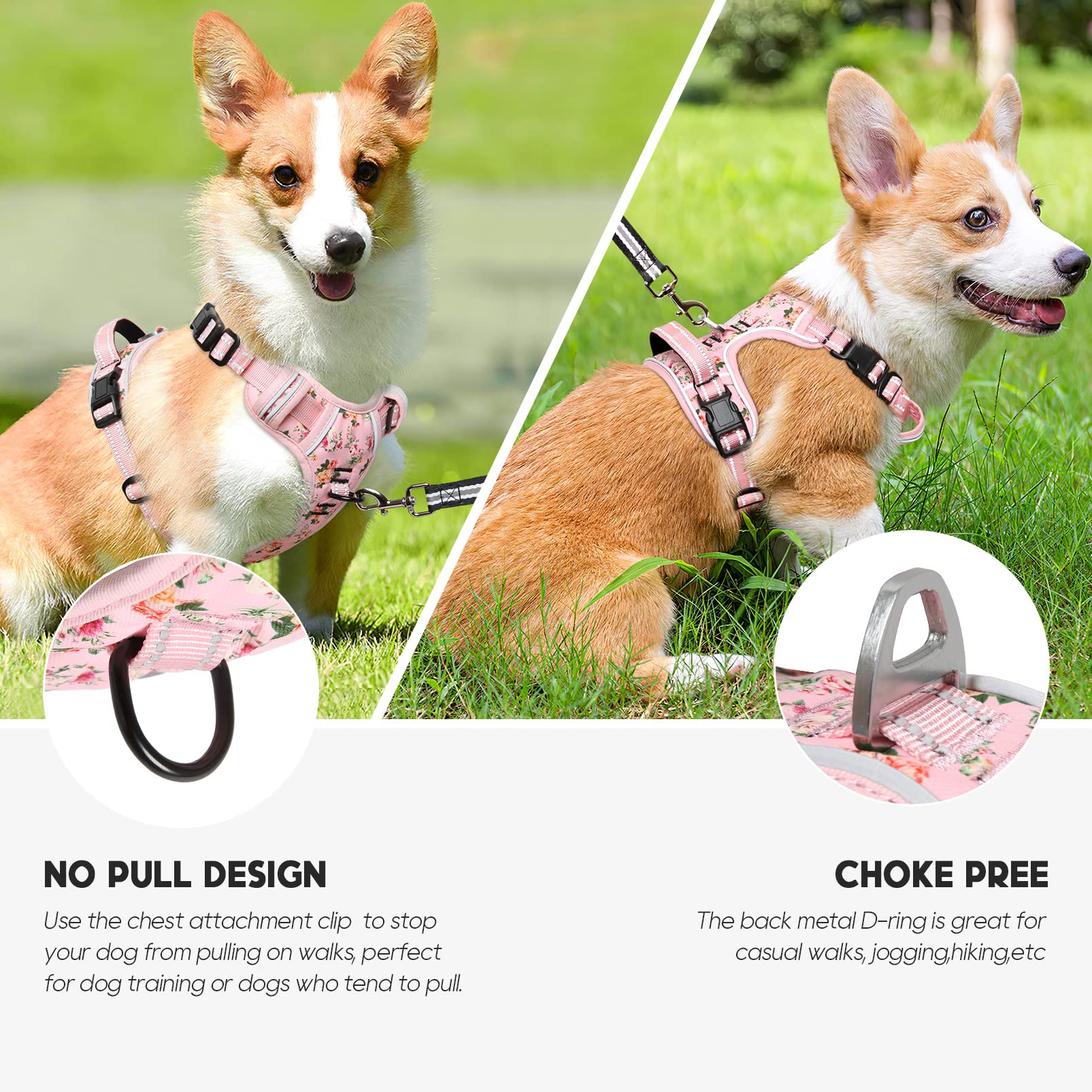 Timos back clip design for casual walks and jogging with the harness