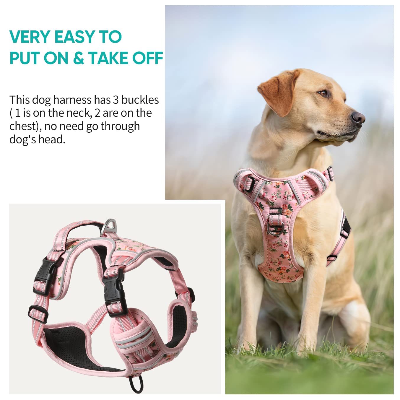 Timos dog harness adjustable straps ensure a secure, growing fit.