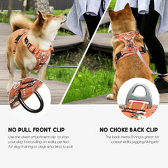 Timos dog harness back control handle for closer guidance during walks
