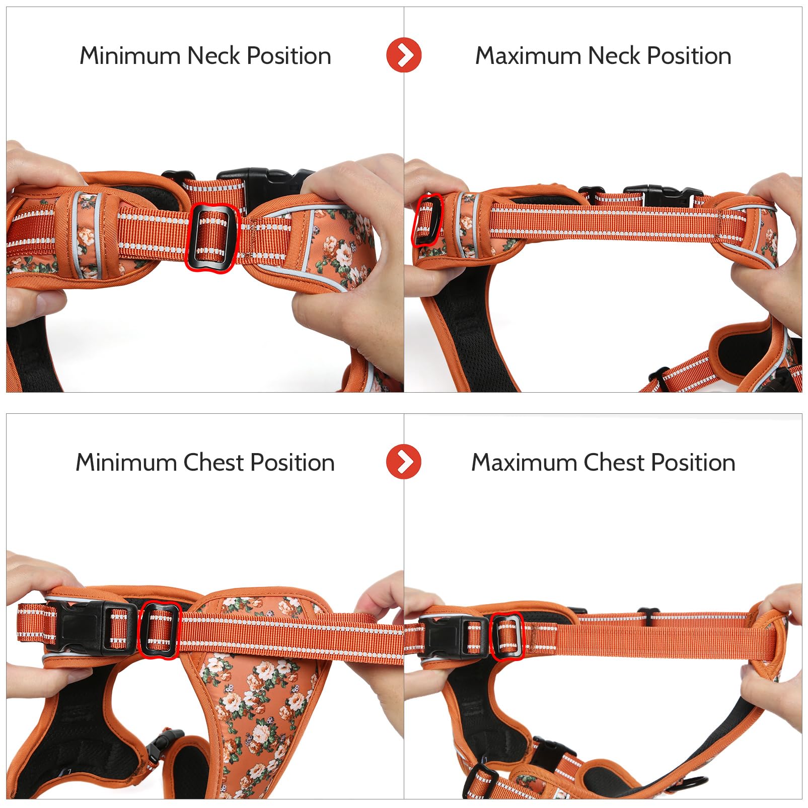 Timos three fast-release buckles simplify easy fitting