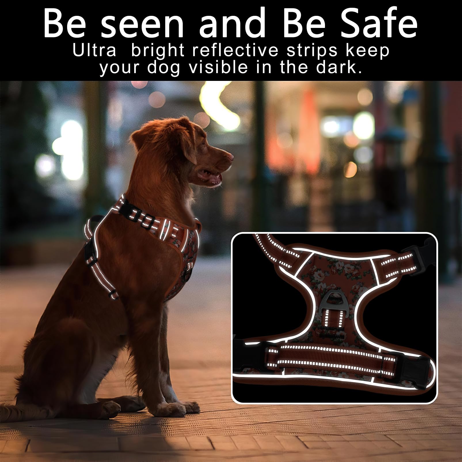 Timos dog harness with dual metal rings for versatile leash setups