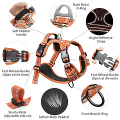 Timos flower-orange harness with reflective strips for visibility at night