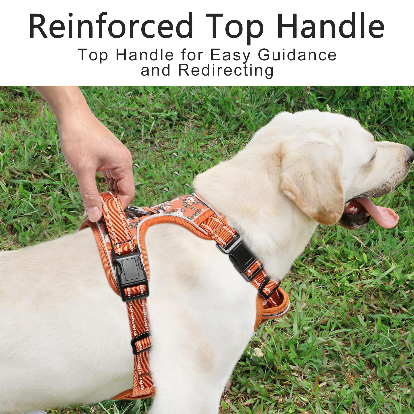 Timos dog harness back handle provides close control