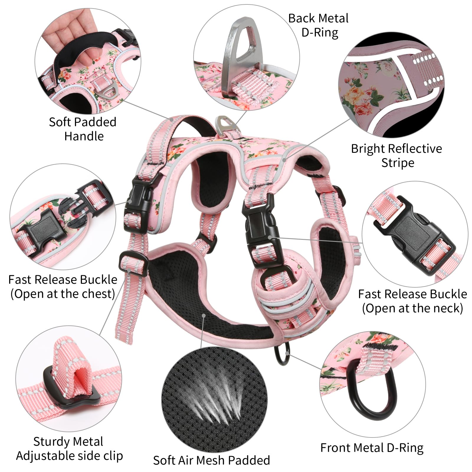 Timos four way adjustable straps ensure a perfect fit for any dog