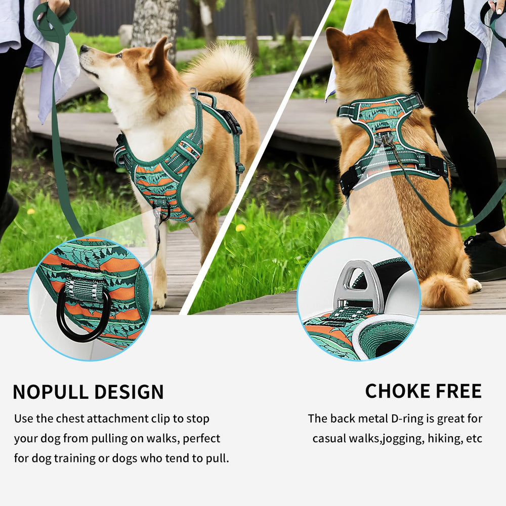 Timos dual leash rings (front and back) support no-pull training