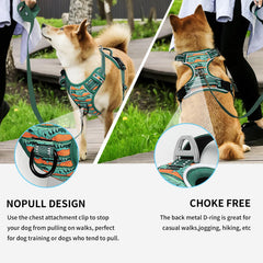 Timos dual leash rings (front and back) support no-pull training