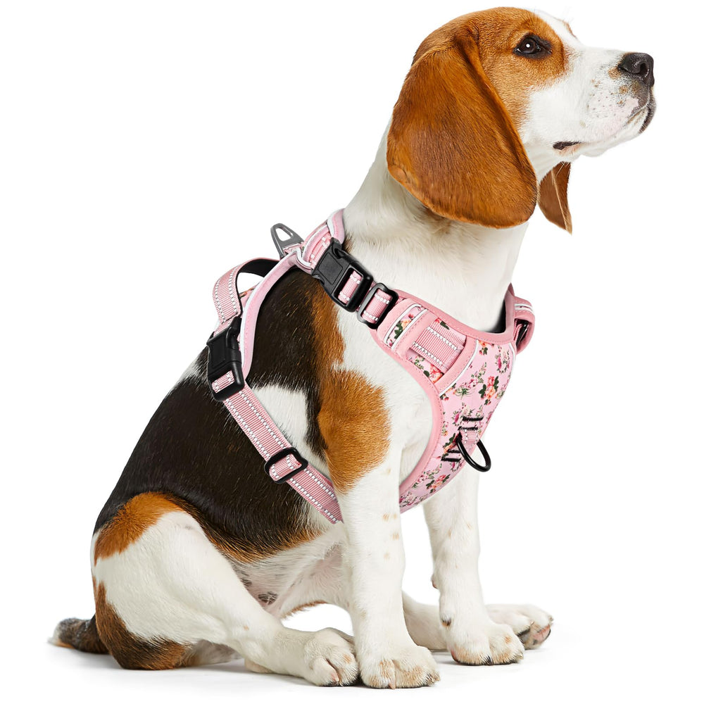 Timos reflective trim improves visibility during night time walks
